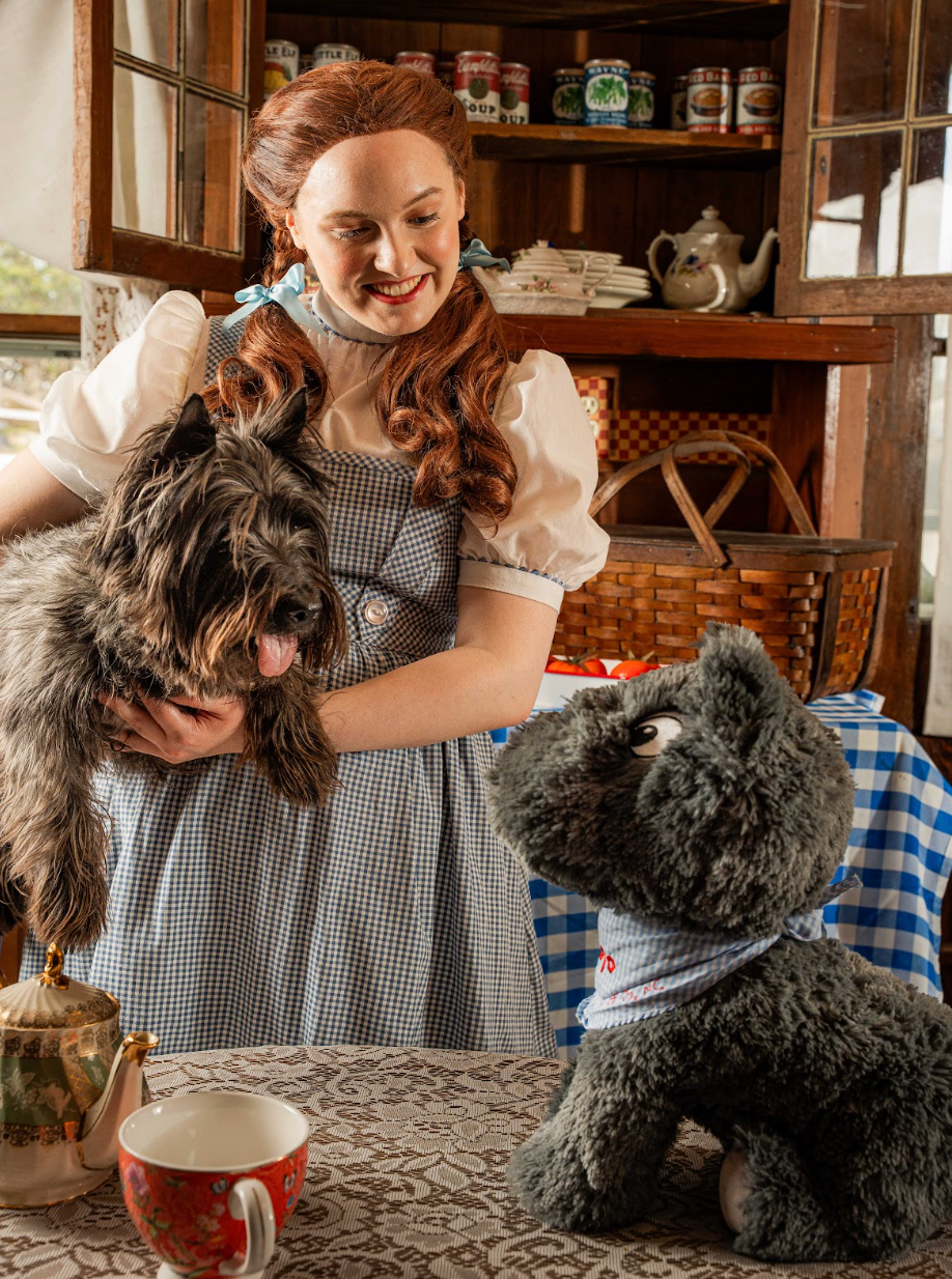 Large Toto Plush Toy
