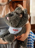 Large Toto Plush Toy