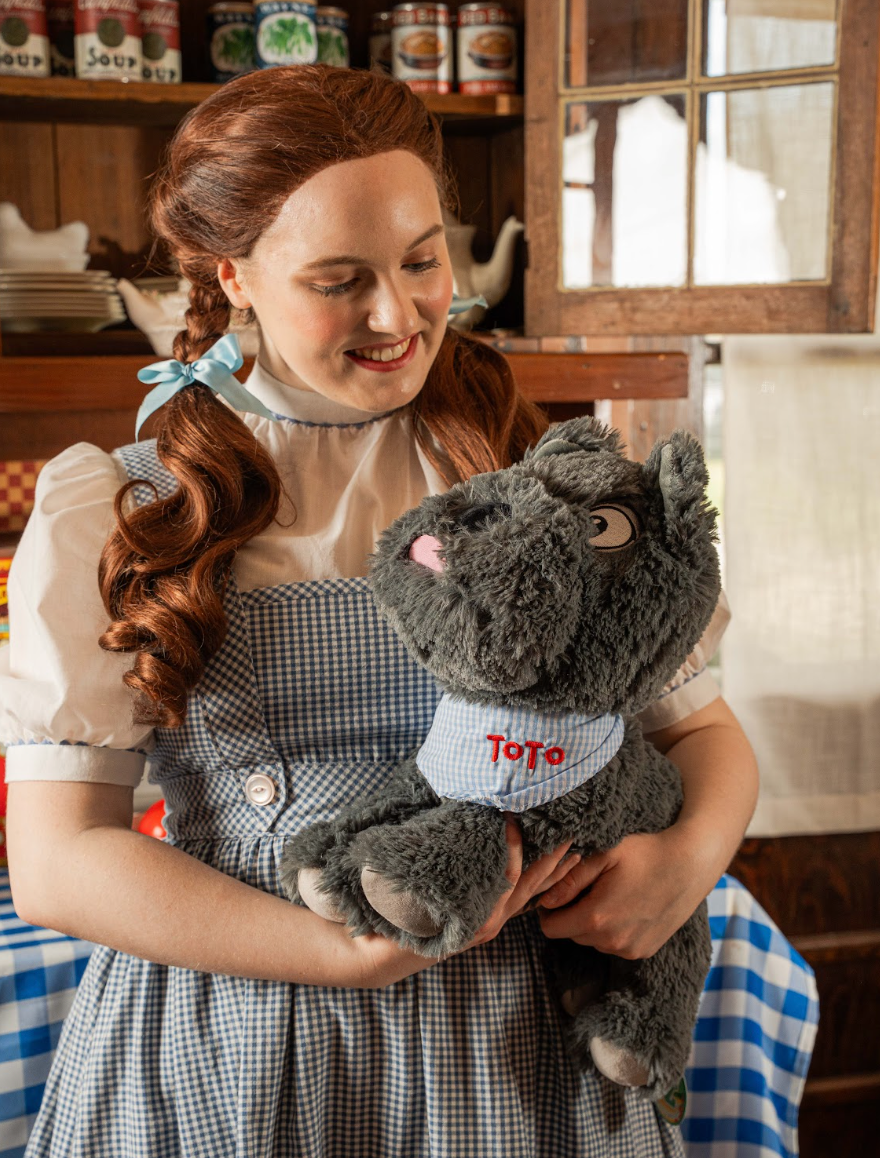 Large Toto Plush Toy