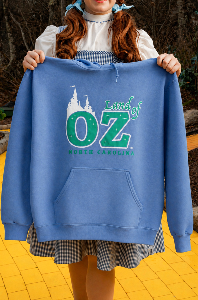 Light Blue Hoodie